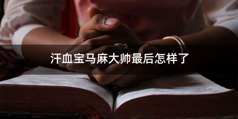 汗血宝马麻大帅最后怎样了