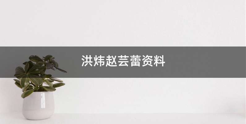洪炜赵芸蕾资料
