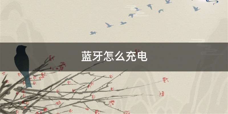 蓝牙怎么充电