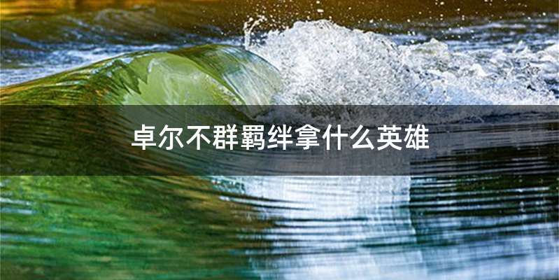 卓尔不群羁绊拿什么英雄