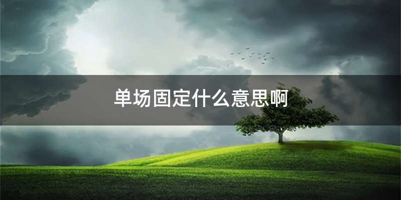 单场固定什么意思啊