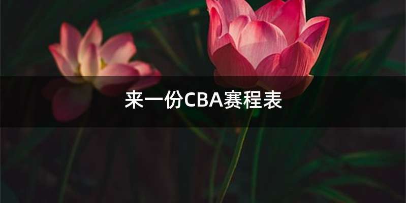 来一份CBA赛程表