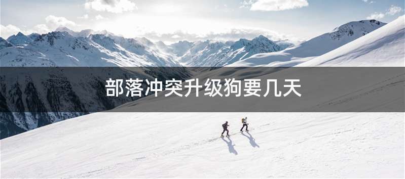 部落冲突升级狗要几天