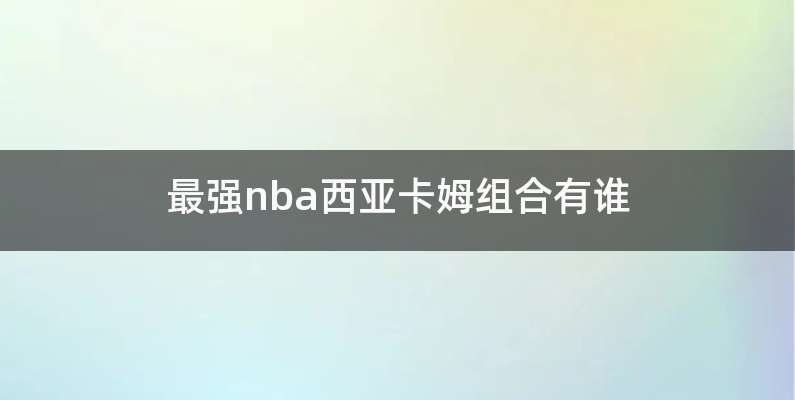 最强nba西亚卡姆组合有谁