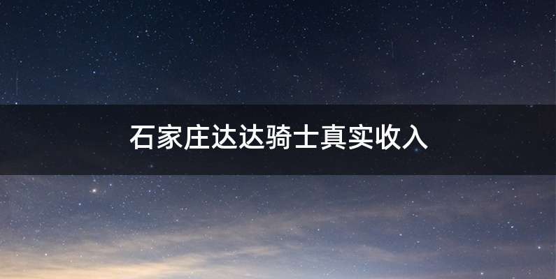 石家庄达达骑士真实收入