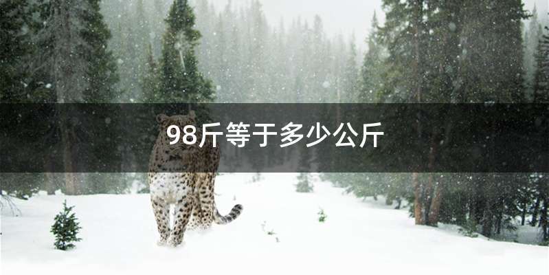 98斤等于多少公斤