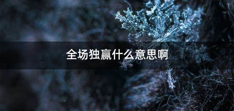 全场独赢什么意思啊