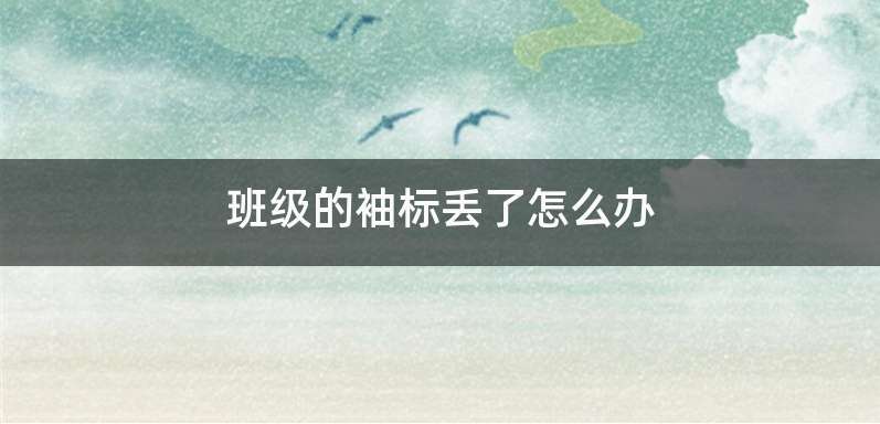 班级的袖标丢了怎么办