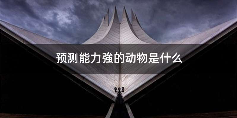 预测能力強的动物是什么