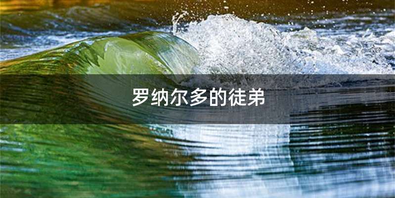 罗纳尔多的徒弟