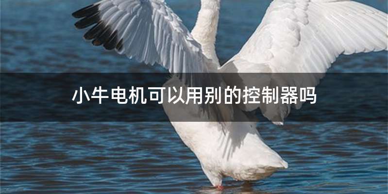 小牛电机可以用别的控制器吗