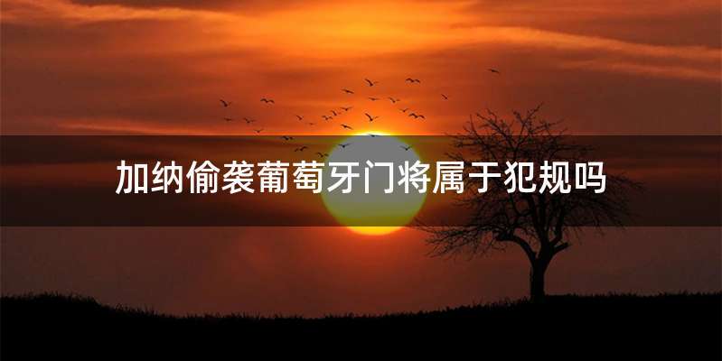 加纳偷袭葡萄牙门将属于犯规吗