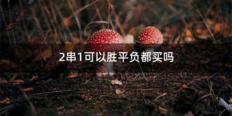 2串1可以胜平负都买吗