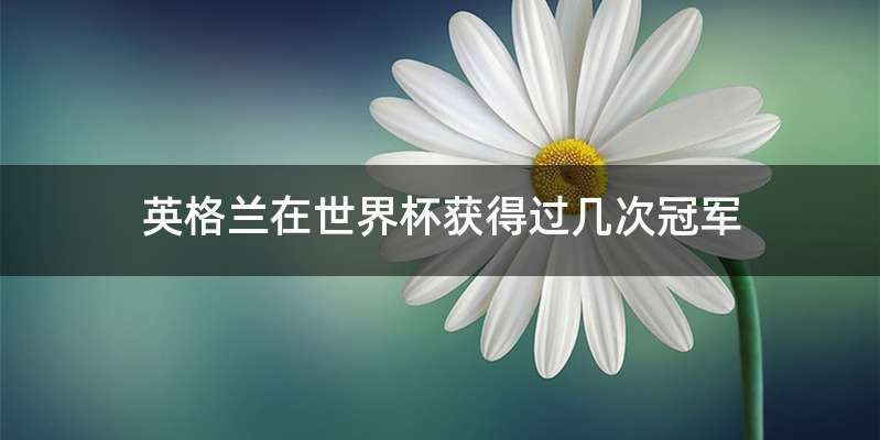英格兰在世界杯获得过几次冠军