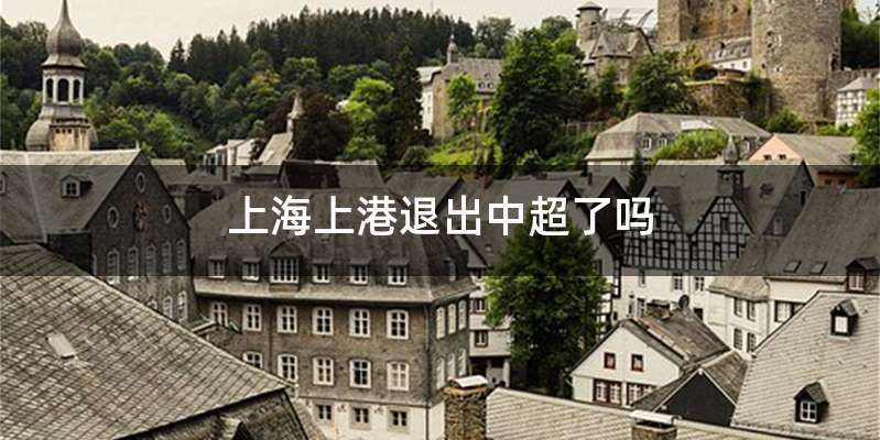 上海上港退出中超了吗