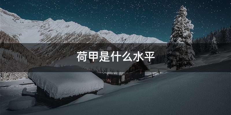 荷甲是什么水平