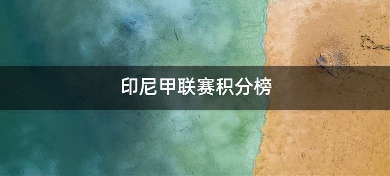 印尼甲联赛积分榜