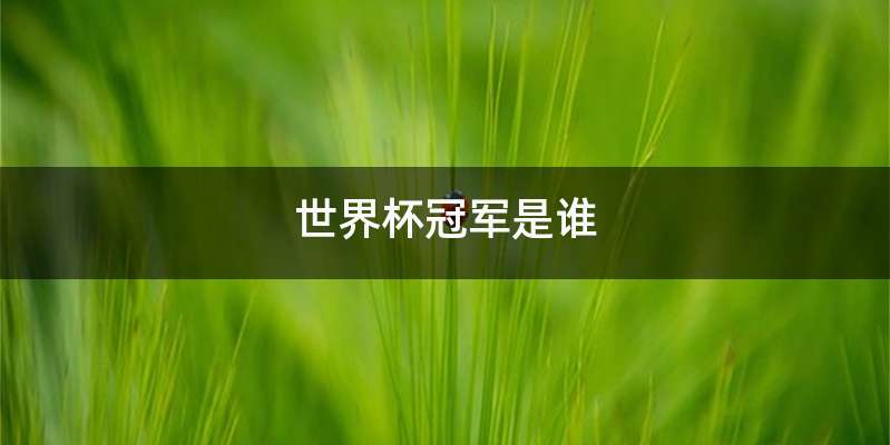 世界杯冠军是谁