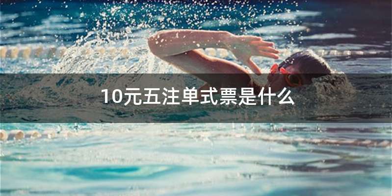 10元五注单式票是什么