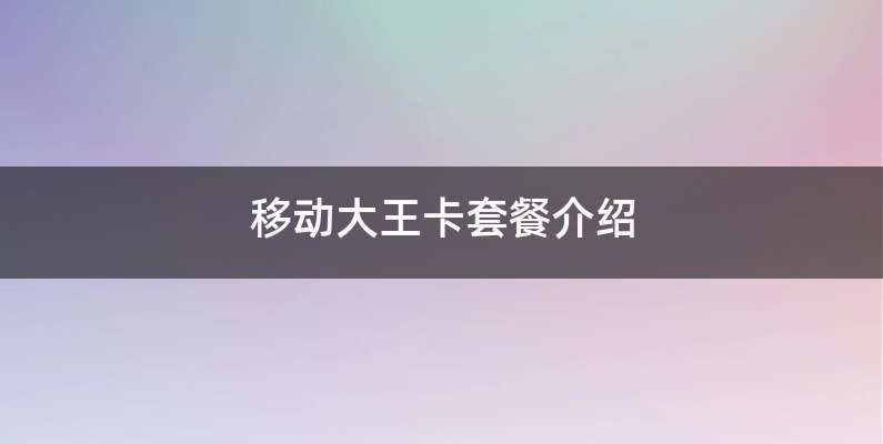 移动大王卡套餐介绍