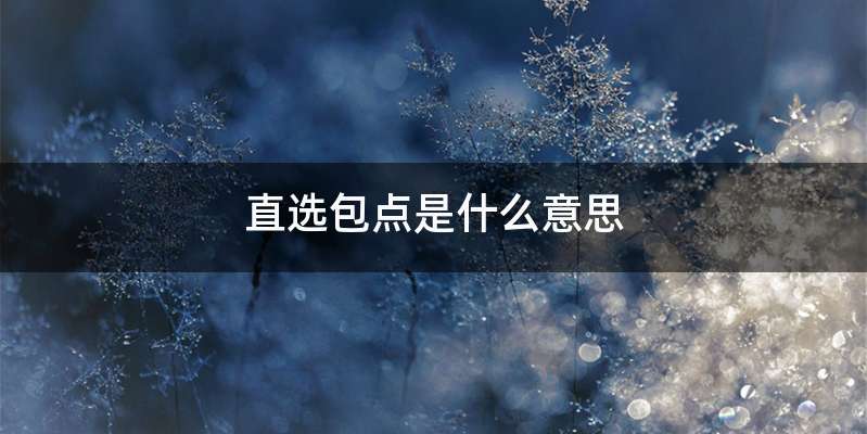 直选包点是什么意思