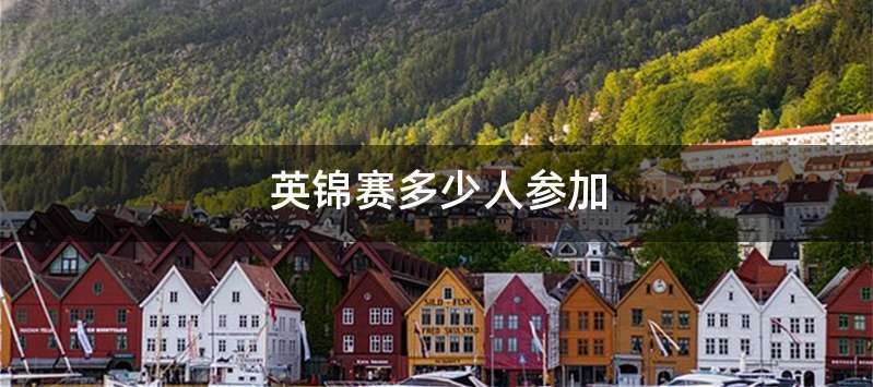 英锦赛多少人参加