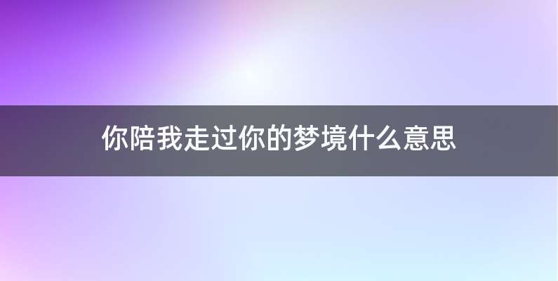你陪我走过你的梦境什么意思