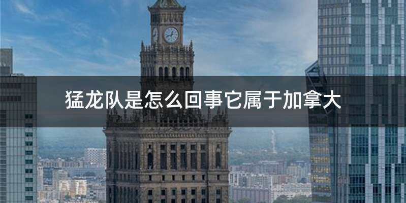 猛龙队是怎么回事它属于加拿大