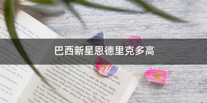 巴西新星恩德里克多高