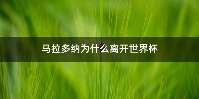 马拉多纳为什么离开世界杯