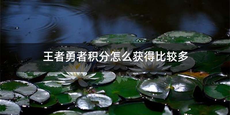 王者勇者积分怎么获得比较多