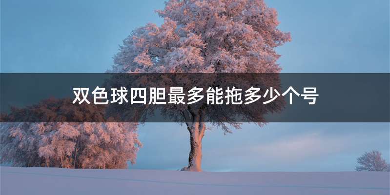 双色球四胆最多能拖多少个号