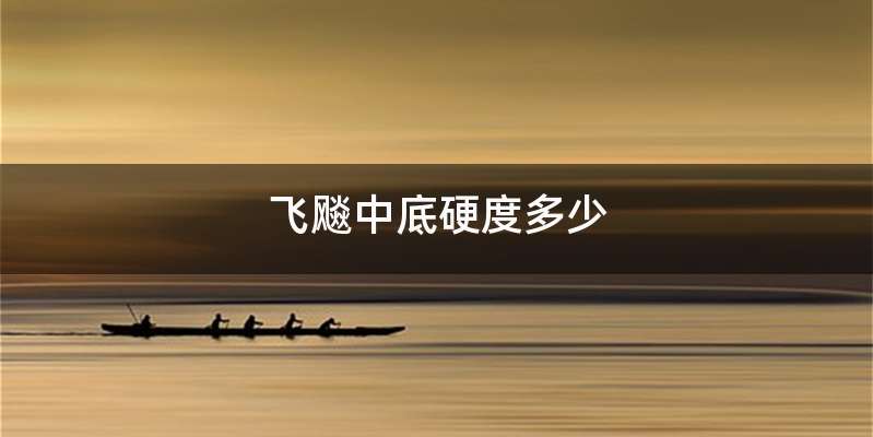 飞飚中底硬度多少
