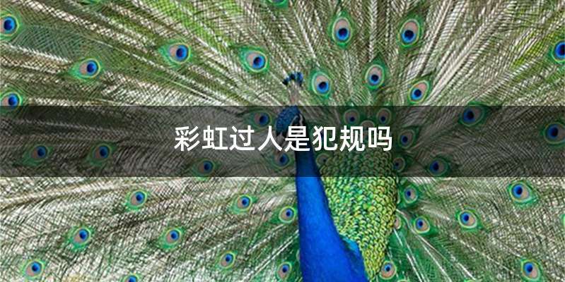 彩虹过人是犯规吗