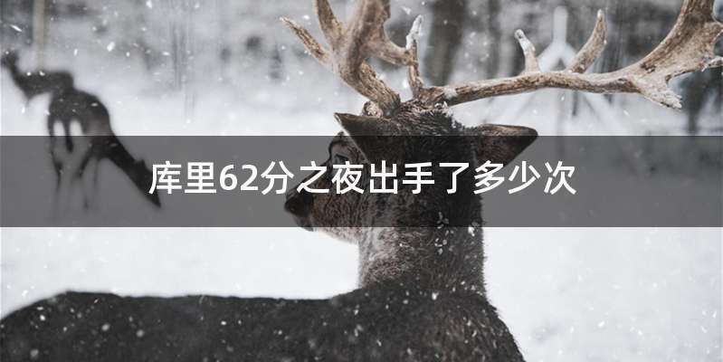 库里62分之夜出手了多少次