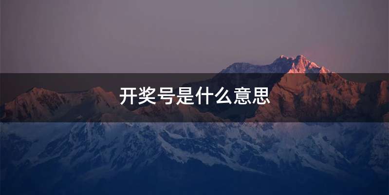 开奖号是什么意思