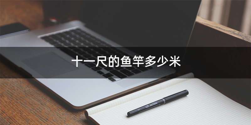 十一尺的鱼竿多少米