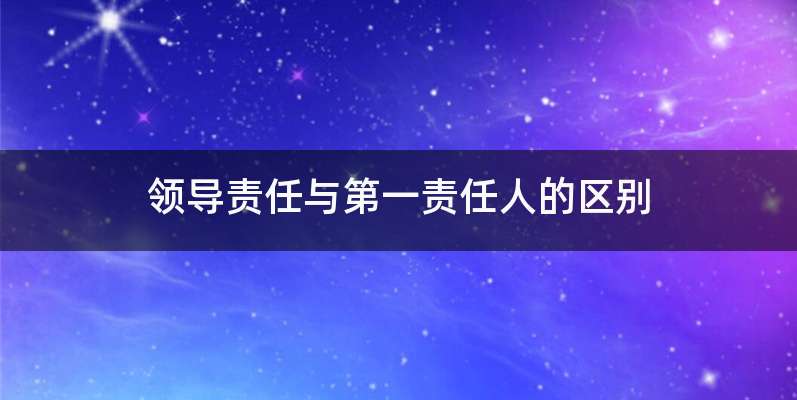 领导责任与第一责任人的区别
