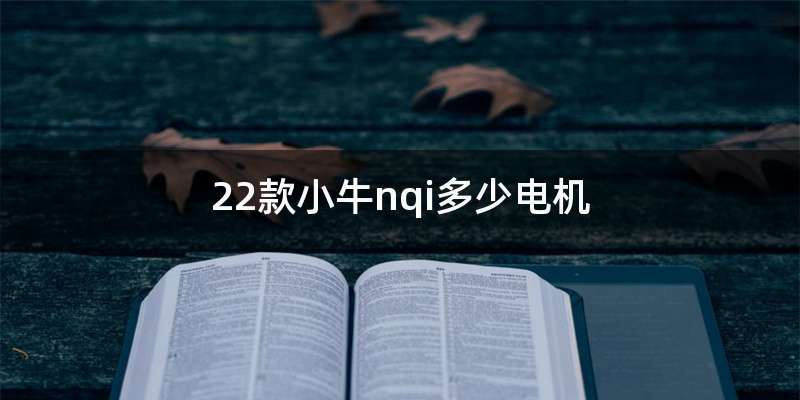 22款小牛nqi多少电机