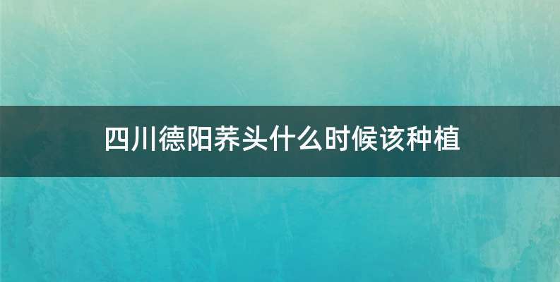 四川德阳荞头什么时候该种植