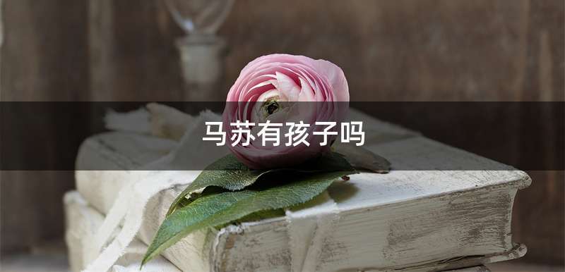 马苏有孩子吗