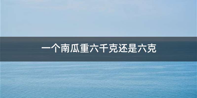 一个南瓜重六千克还是六克