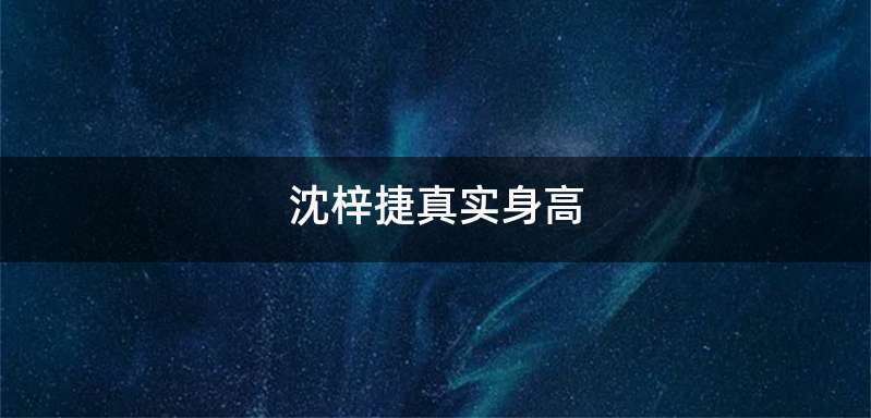 沈梓捷真实身高