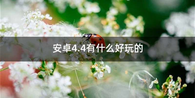 安卓4.4有什么好玩的