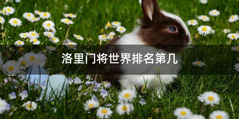 洛里门将世界排名第几