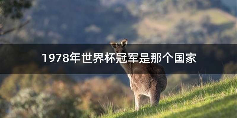 1978年世界杯冠军是那个国家