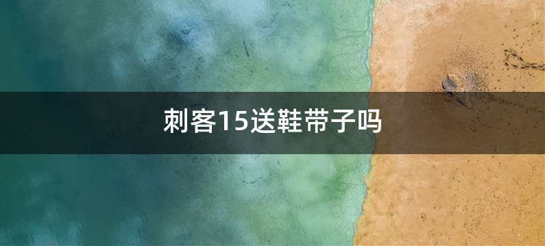 刺客15送鞋带子吗