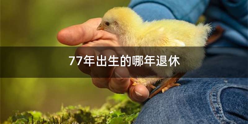 77年出生的哪年退休