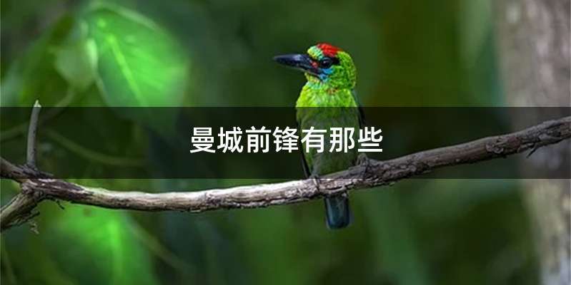 曼城前锋有那些