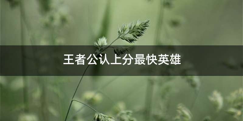 王者公认上分最快英雄